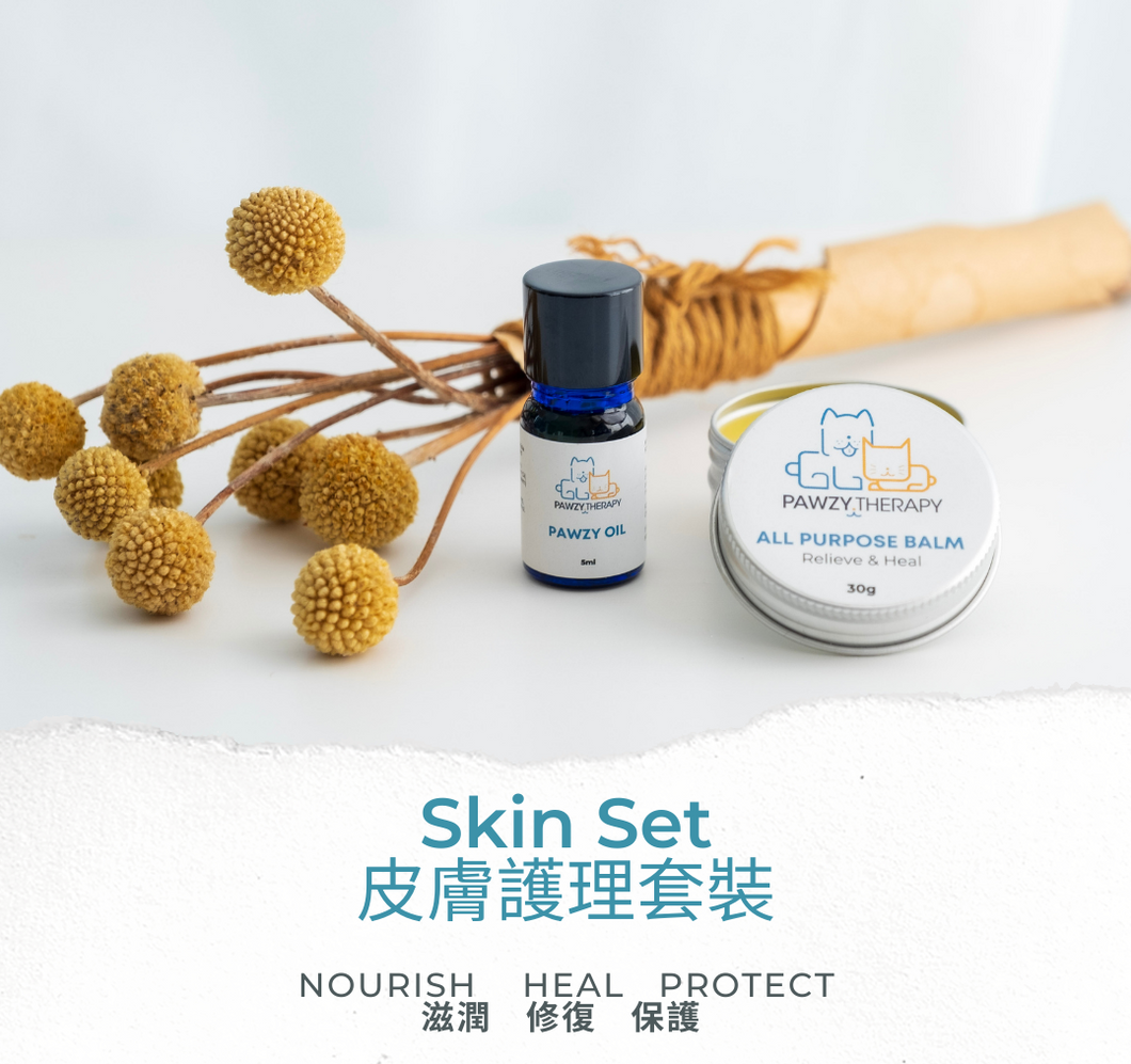 Skin Set 皮膚護理套裝