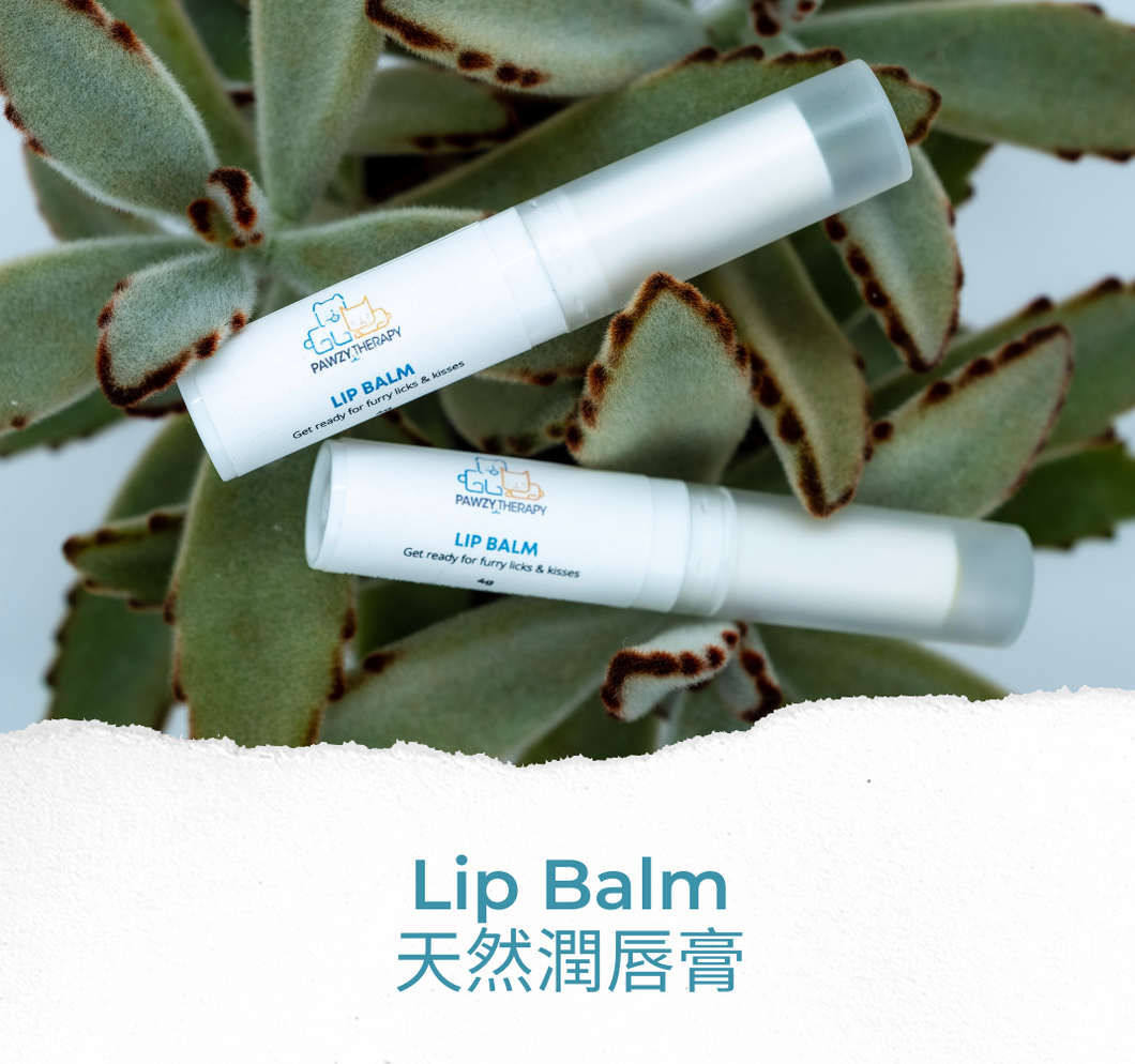Lip Balm 天然潤唇膏 (4g)