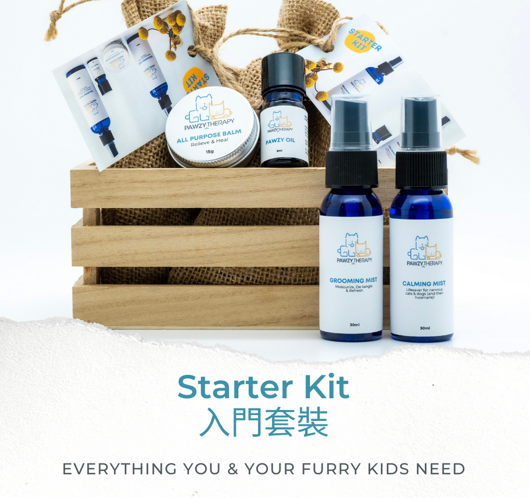 Starter Kit 入門套裝